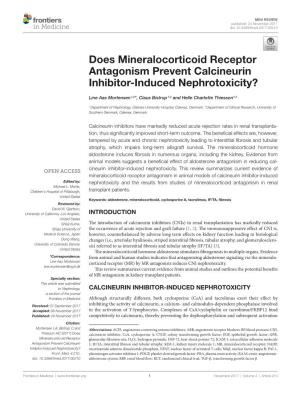 Does Mineralocorticoid Receptor Antagonism Prevent Calcineurin Inhibitor-Induced Nephrotoxicity?