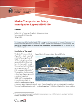 Marine Transportation Safety Investigation Report M20P0110