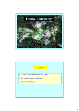 Tropical Meteorology