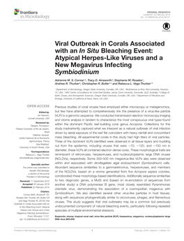 Viral Outbreak in Corals Associated with an in Situ Bleaching Event: Atypical Herpes-Like Viruses and a New Megavirus Infecting Symbiodinium