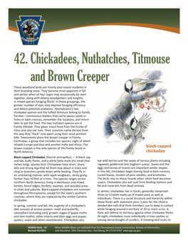 42. Chickadees, Nuthatches, Titmouse and Brown Creeper These Woodland Birds Are Mainly Year-Round Residents in Their Breeding Areas