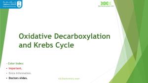 Oxidative Decarboxylation and Krebs Cycle
