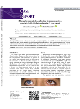 Bilateral Symmetrical Nasal Retinal Hypopigmentation Associated with Iris Heterochromia: a Case Report