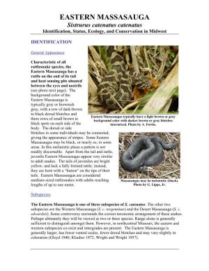 EASTERN MASSASAUGA Sistrurus Catenatus Catenatus Identification, Status, Ecology, and Conservation in Midwest