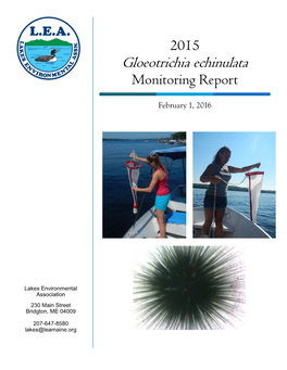 Gloeotrichia Echinulata Monitoring Report