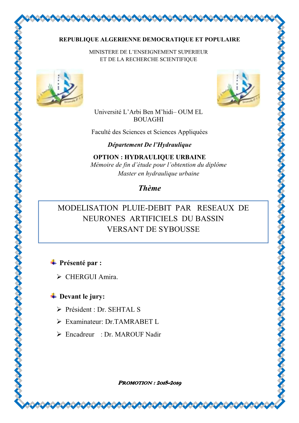 Thème MODELISATION PLUIE-DEBIT PAR RESEAUX DE