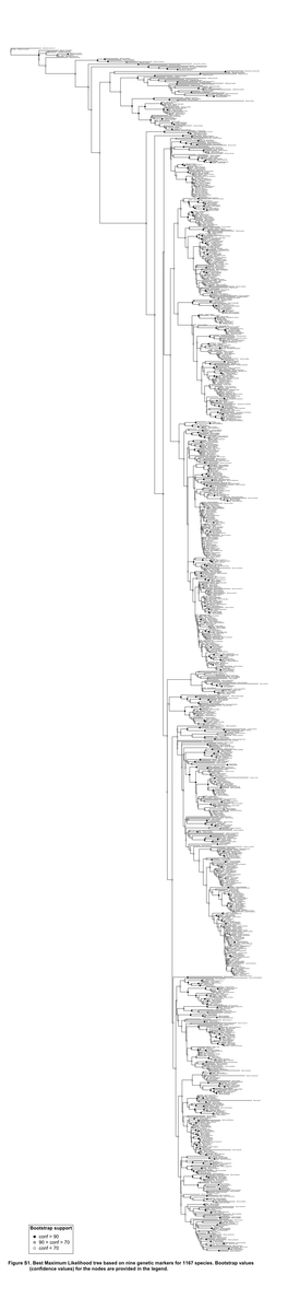 R Graphics Output