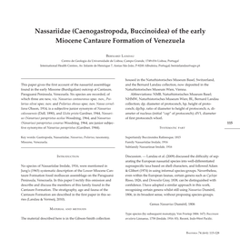 Nassariidae (Caenogastropoda, Buccinoidea) of the Early Miocene Cantaure Formation of Venezuela