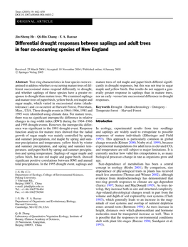Differential Drought Responses Between Saplings and Adult Trees in Four Co-Occurring Species of New England