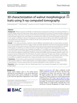 3D Characterization of Walnut Morphological Traits Using X-Ray