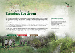 Tampines Eco Green, a 36.5-Hectare Ecological Park That Resembles a Savannah with Marshlands, Secondary Forests and Freshwater Ponds