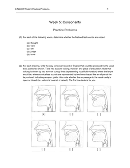 Week 5: Consonants