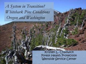 Whitebark Pine Conditions in Oregon and Washington