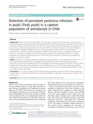 Detection of Persistent Pestivirus Infection in Pudú (Pudu Puda)