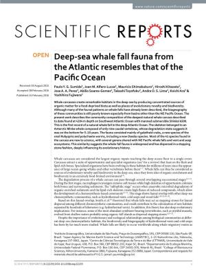 Deep-Sea Whale Fall Fauna from the Atlantic Resembles That of the Pacific Ocean Received: 03 August 2015 Paulo Y