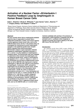 Activation of a Nuclear Factor KB/Interleukin-1 Positive Feedback Loop by Amphiregulin in Human Breast Cancer Cells