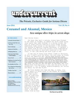 Cozumel and Akumal, Mexico + [Other Articles] Undercurrent, June 2014