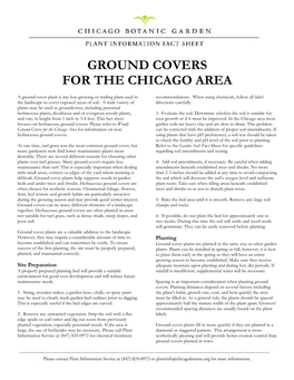 Ground Covers for the Chicago Area