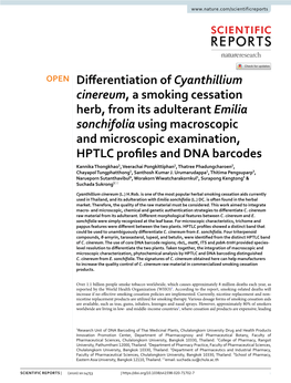 Differentiation of Cyanthillium Cinereum, a Smoking Cessation