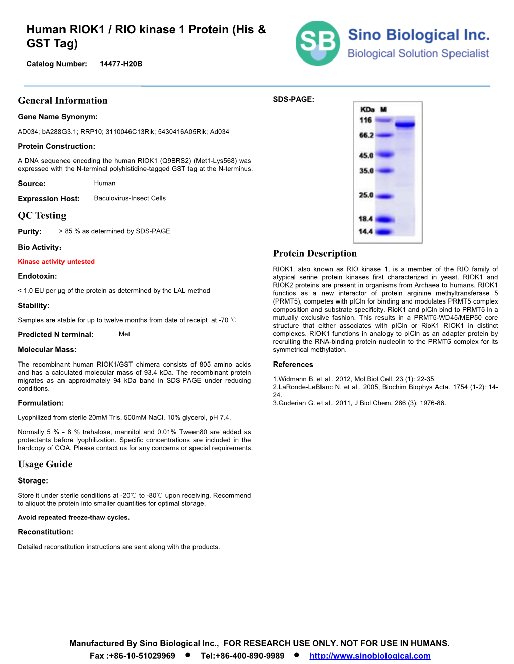 Human RIOK1 / RIO Kinase 1 Protein (His & GST Tag)