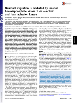 Neuronal Migration Is Mediated by Inositol Hexakisphosphate Kinase 1 Via Α-Actinin and Focal Adhesion Kinase