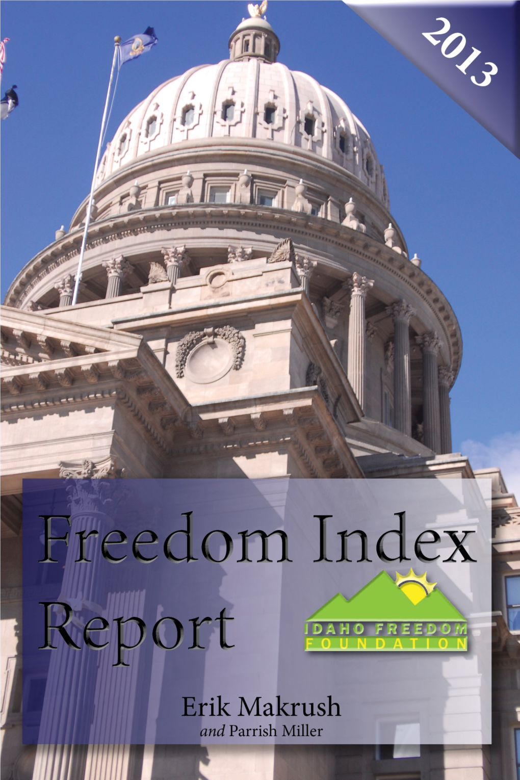 2013 Freedom Index Report