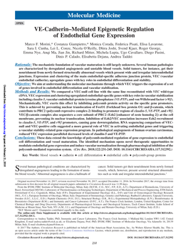 VE-Cadherin–Mediated Epigenetic Regulation of Endothelial Gene Expression