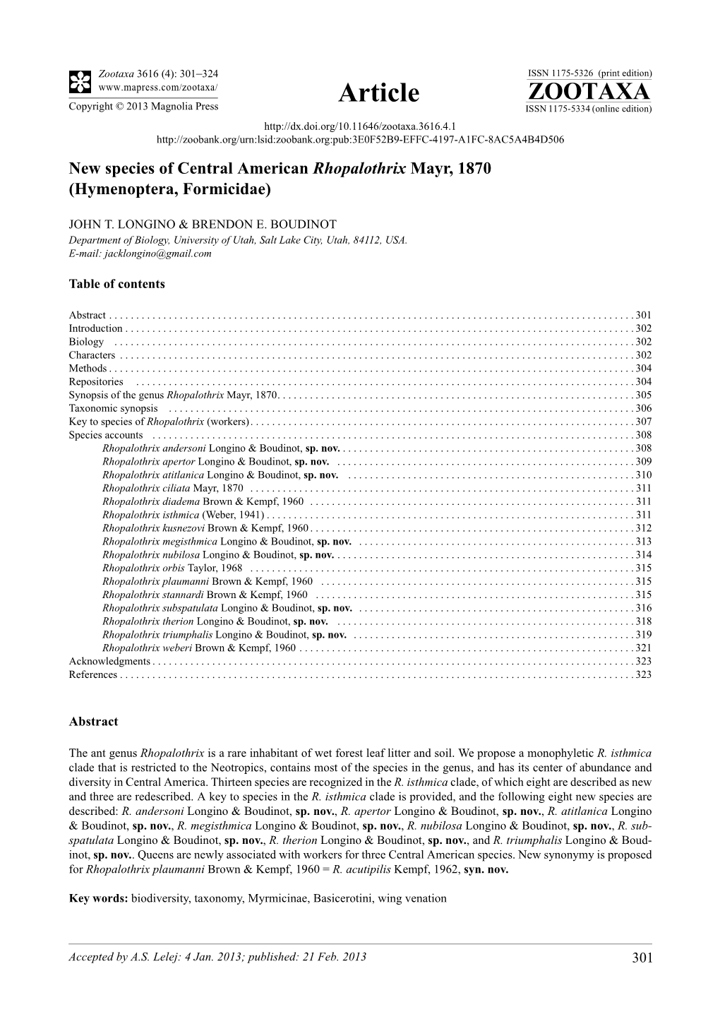 New Species of Central American Rhopalothrix Mayr, 1870 (Hymenoptera, Formicidae)