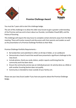 Promise Challenge Award