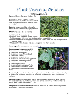 Rubus Caesius L. Common Names: European Dewberry (1)