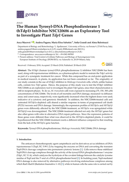 The Human Tyrosyl-DNA Phosphodiesterase 1 (Htdp1) Inhibitor NSC120686 As an Exploratory Tool to Investigate Plant Tdp1 Genes