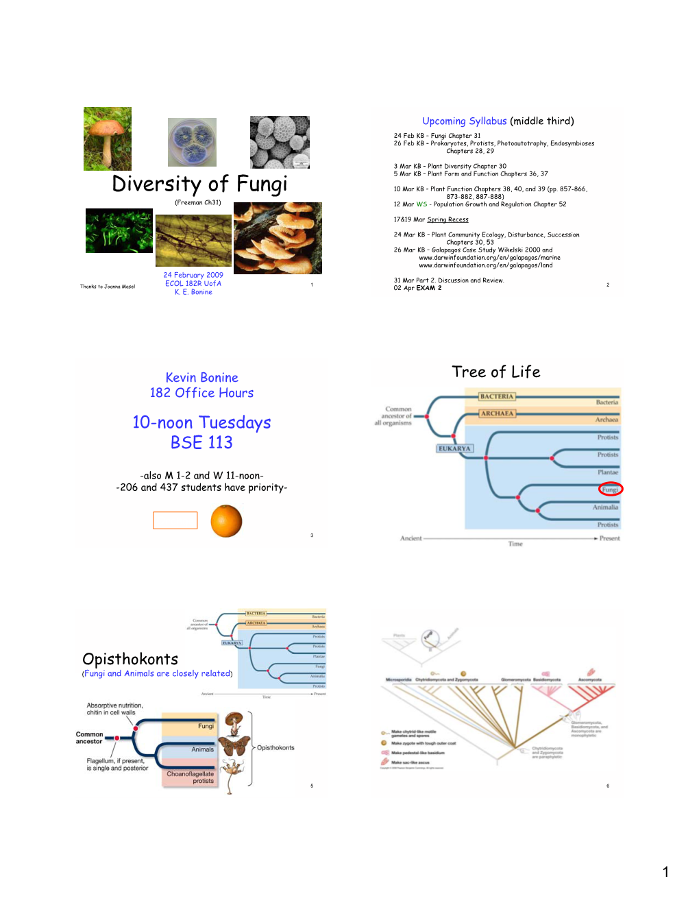 Diversity of Fungi 10 Mar KB – Plant Function Chapters 38, 40, and 39 (Pp