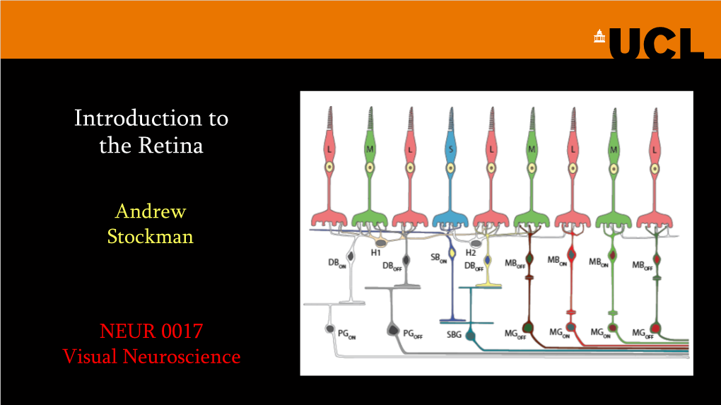 Introduction to the Retina