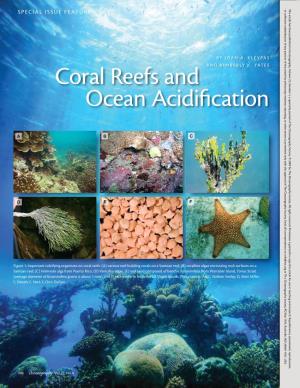 Coral Reefs and Ocean Acidification © 2009 by the Oceanography Society.Oceanography a 2009 by the Ll Rights Reserved
