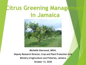 Citrus Greening Management in Jamaica