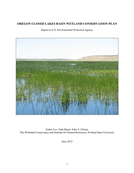 Conservation Plan for the Closed Lakes Basin