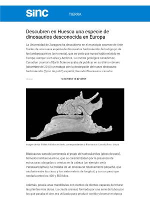 Descubren En Huesca Una Especie De Dinosaurios Desconocida En Europa