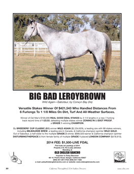 BIG BAD LEROYBROWN:Layout 1 12/3/13 10:34 AM Page 1
