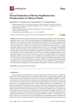 Novel Production of Bovine Papillomavirus Pseudovirions in Tobacco Plants