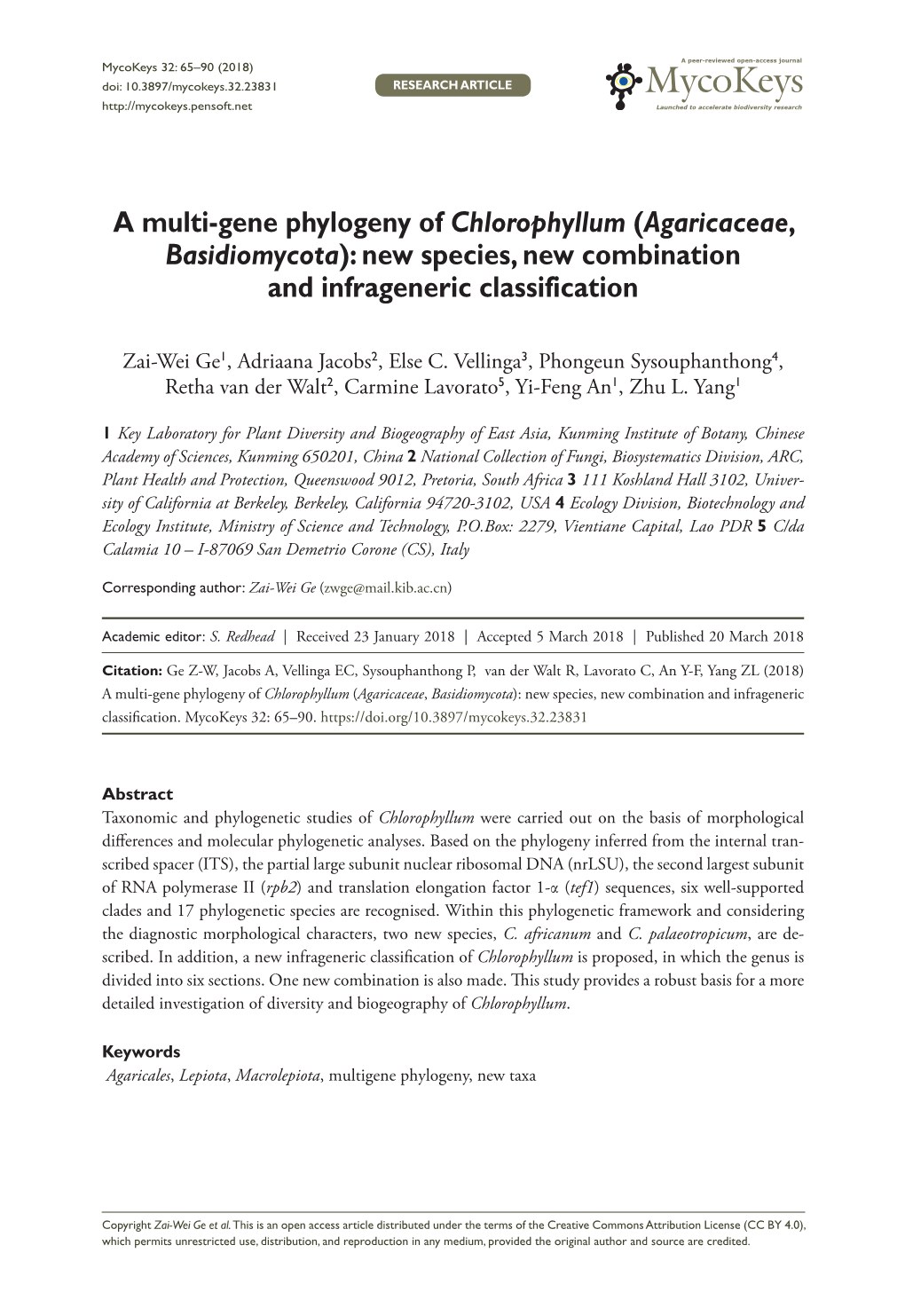 Agaricaceae, Basidiomycota): New Species