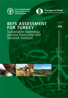 BEFS Assessment for Turkey