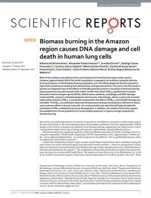 Biomass Burning in the Amazon Region Causes DNA Damage and Cell Death in Human Lung Cells