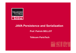 JAVA Persistence and Serialization