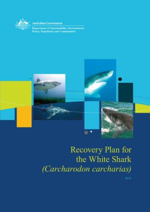 Recovery Plan for the White Shark (Carcharodon Carcharias)