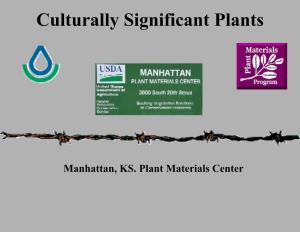 Culturally Significant Plants