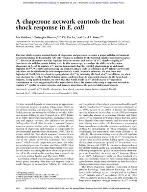 A Chaperone Network Controls the Heat Shock Response in E. Coli