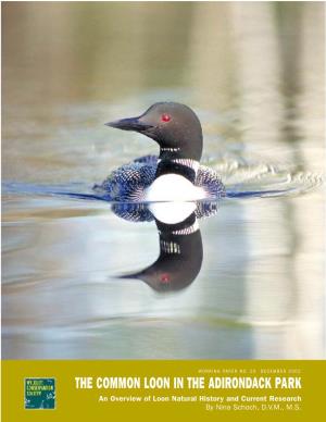THE COMMON LOON in the ADIRONDACK PARK an Overview of Loon Natural History and Current Research by Nina Schoch, D.V.M., M.S