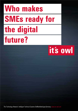 Who Makes Smes Ready for the Digital Future?
