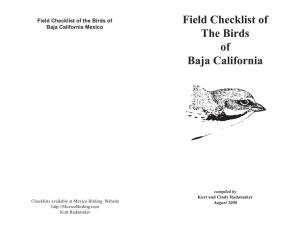 Baja Bird Checklist