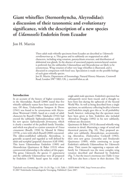 Giant Whiteflies (Sternorrhyncha, Aleyrodidae): a Discussion of Their Taxonomic and Evolutionary Significance, with the Descript